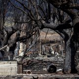 Pour l'heure, seuls 38% des décombres à Lahaina, ville historique presque entièrement détruite par les feux, ont été inspectés.